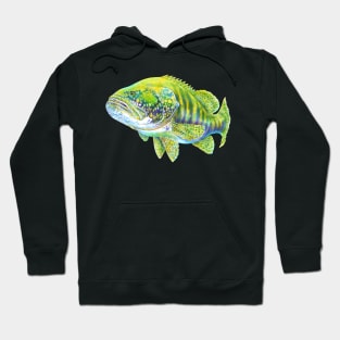 Grouper Hoodie